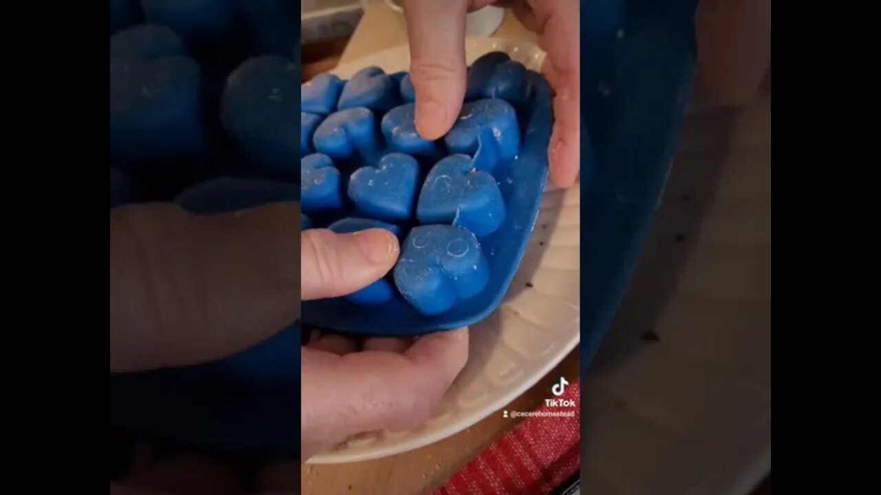 DIY Odor Absorber