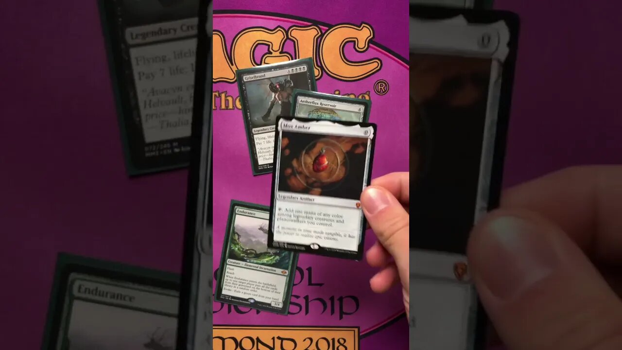 The Two Versions of Modern NeoBrand