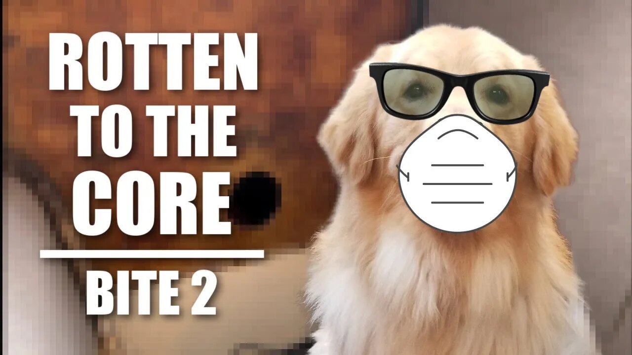 ROTTEN TO THE CORE | BITE 2