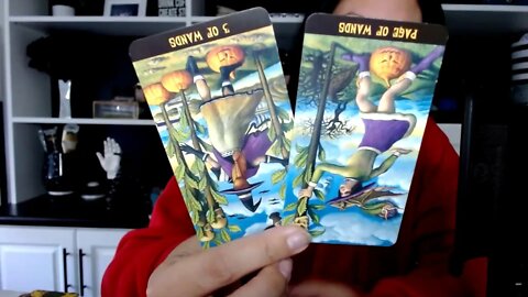 Mid October 2022 Check-In Tarot Reading | All Signs