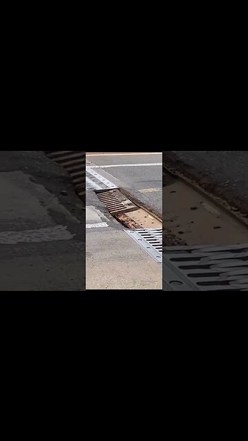 Nikolas Ferreira solicitou reparos e manutenções no viaduto de 600 metros na BR-381