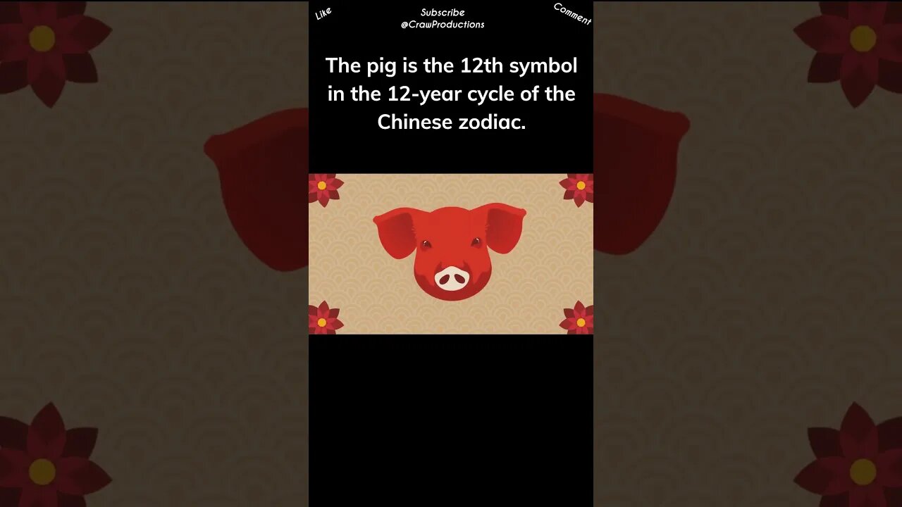 The Pig Holds a Place in the Chinese Zodiac #pig #shorts