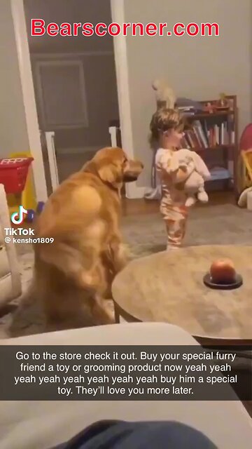 Dogs dancing to bearscorner.com