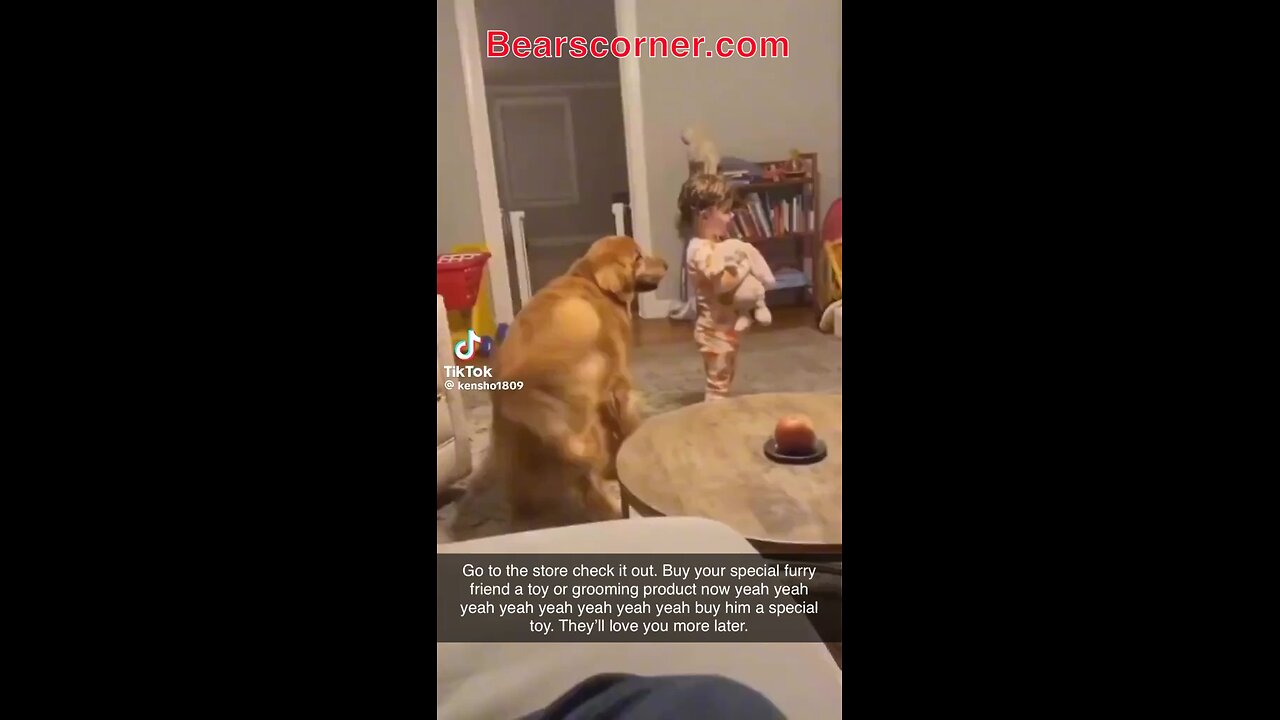 Dogs dancing to bearscorner.com