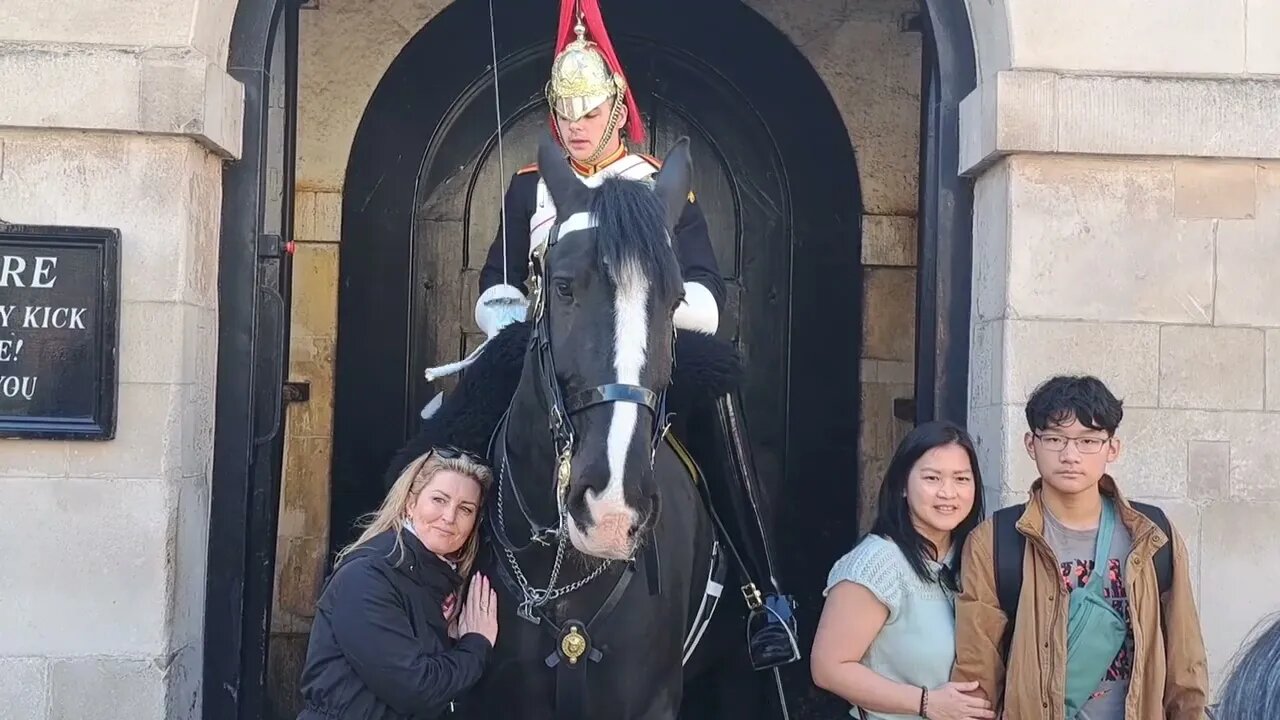 Tourist leans on horse guard shouts get back Easter Sunday 🐣 #horseguardsparade