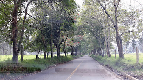 Café de Quindio