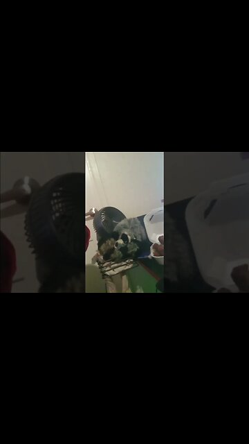 Best wing spot in LA #eats #shorts #munch #munches #healthyfood #junkfood #wings #eatingcompetition