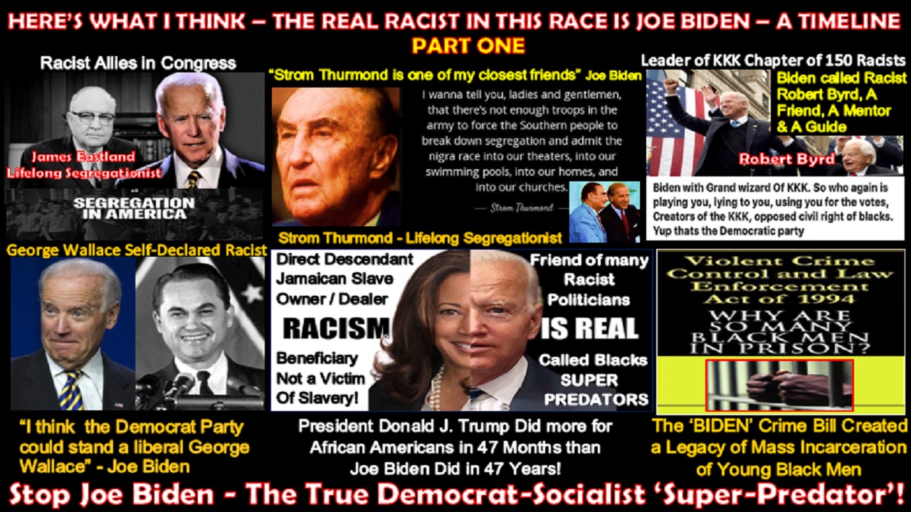 THIS IS WHAT I THINK – THE REAL RACIST IN THIS RACE IS JOE BIDEN – A TIMELINE - PART ONE