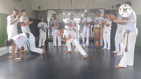Graduado Sorriso X Monitora Bentivi