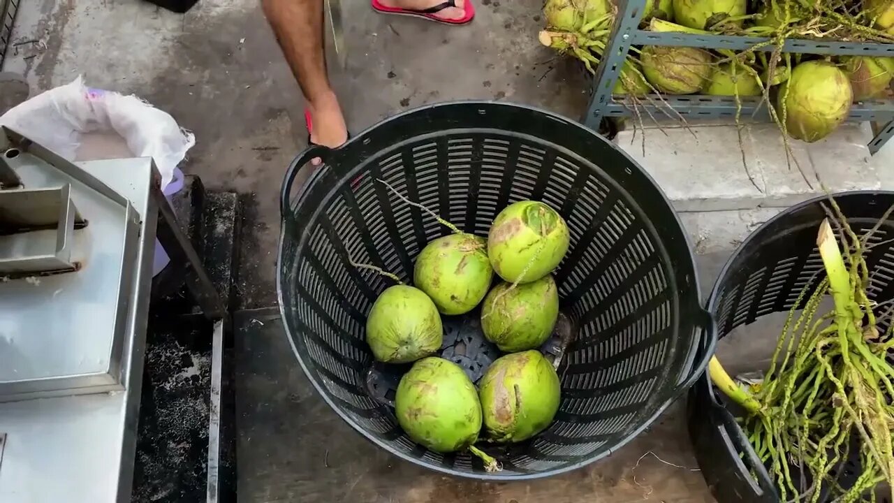 Coconut Fresh Milk Smoothie