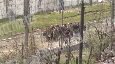 Ukraine: More footage of surrendered militants leaving Azovstal