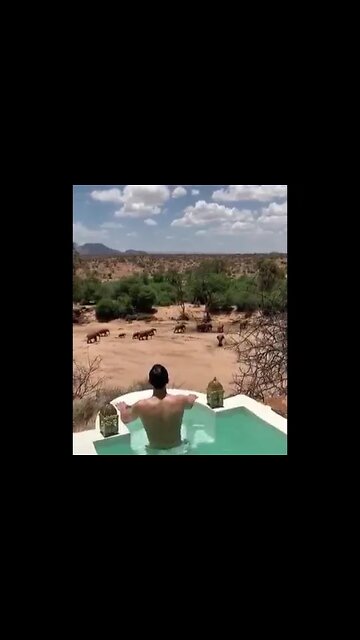 Hotel In Samburu National Reserve, Kenya! #Shorts