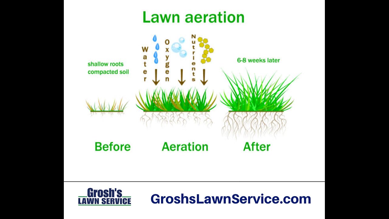 Lawn Aeration Greencastle Pennsylvania Lawn Care Service