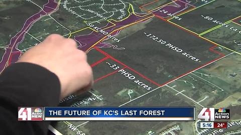 Group fighting to protect 600 acres of woodland must convince school district first