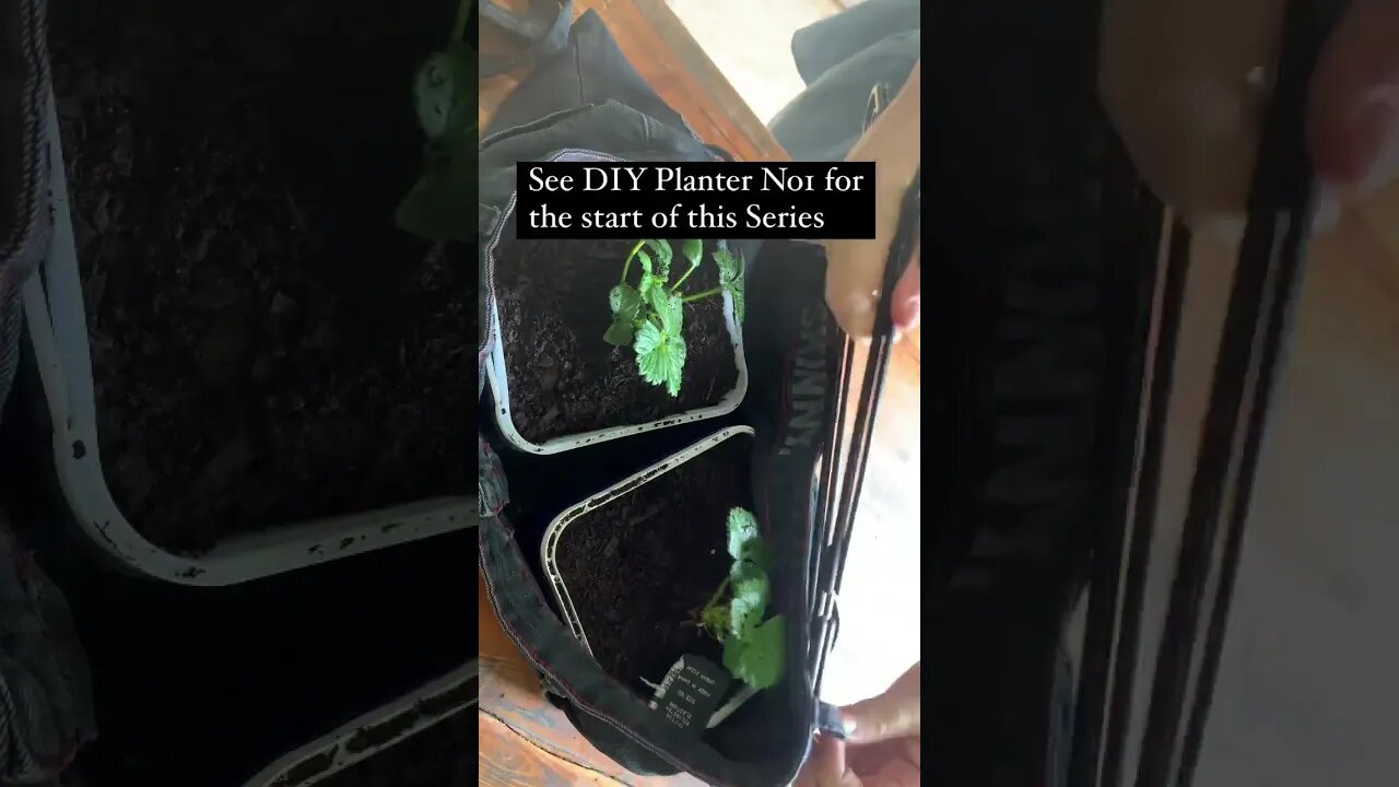 DIY Planter Part 2 #gardening #diyplanters #strawberry