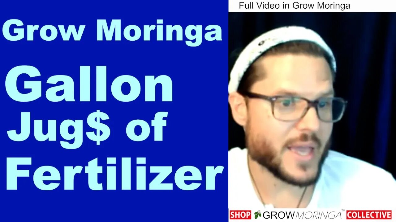 Fertilizer Shortage! Make Your Own Moringa BioStimulant and Sell at The Farmers Market Soil is Life