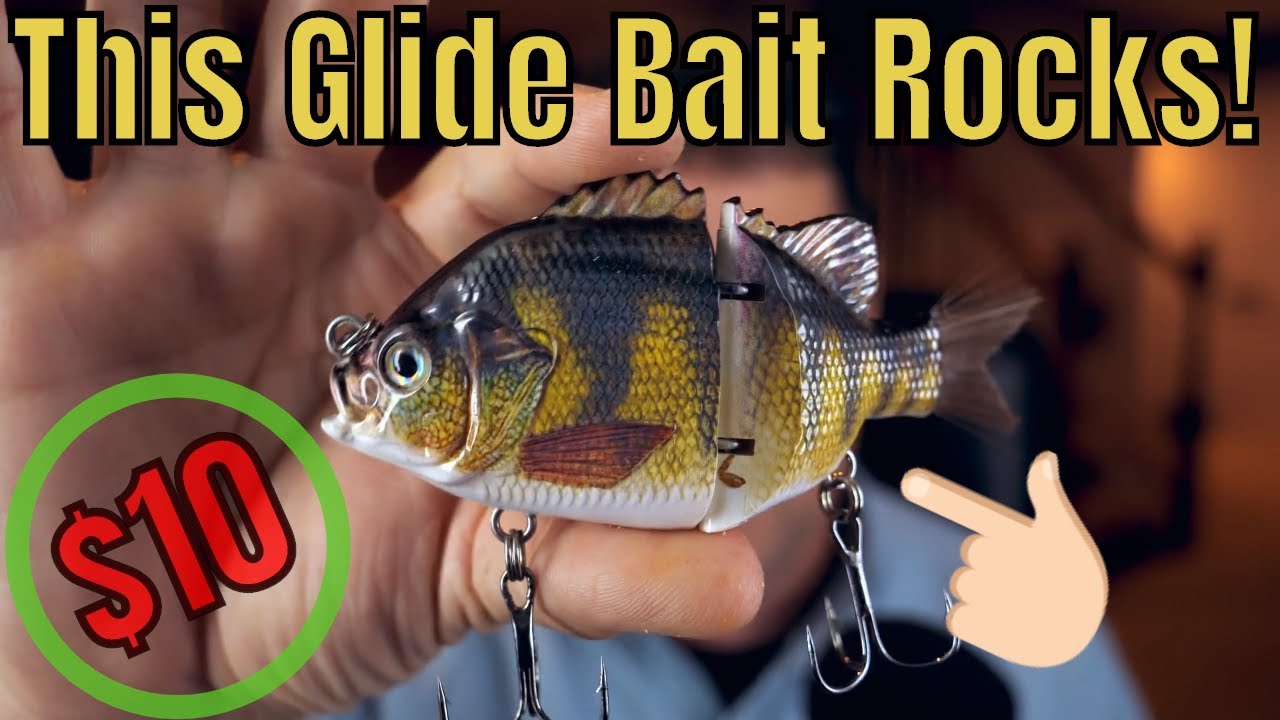 $10 Glide Bait - Is it worth it?