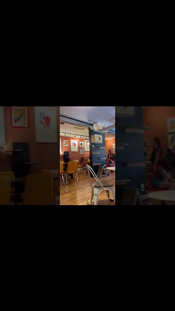 Denver Cat Company pt2 #sheltercats