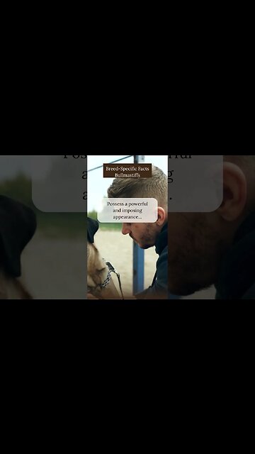 Interesting Facts about Bullmastiffs