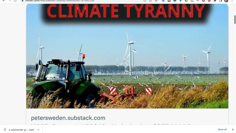 🟨 荷蘭農民抗議