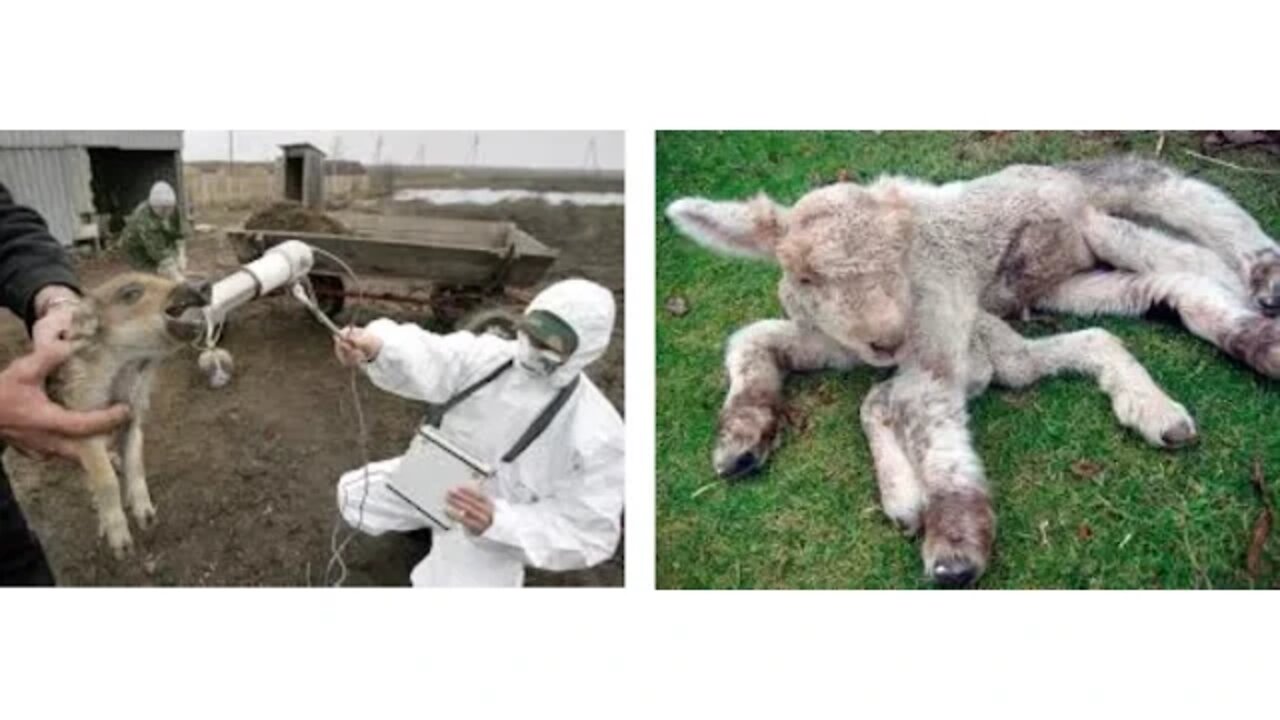 Alarming Death Rates & Mutations - Latest Fukushima Radiation Levels - Chernobyl Becomes Solar Farm