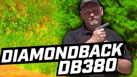 Diamondback DB380: Gun Vault