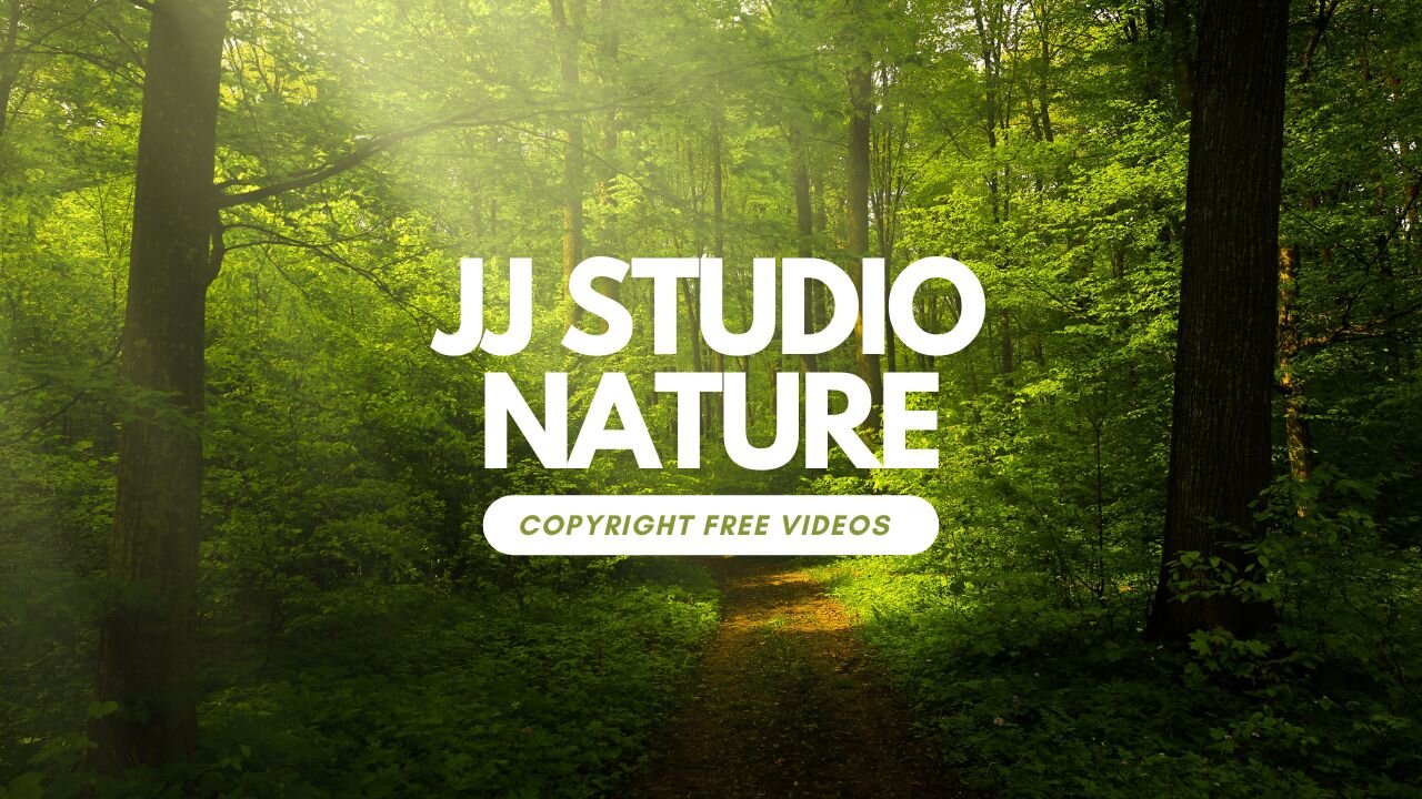 Copyright-free nature videos are available for download
