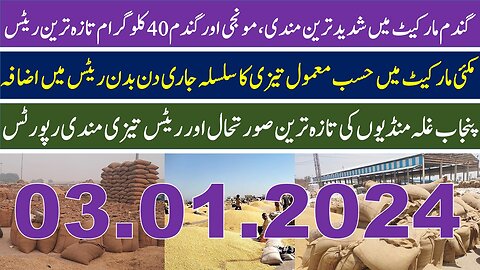 Wheat price in pakistan 2024_Munji,Till,Sarso,Makki Rates update 03.01.2024