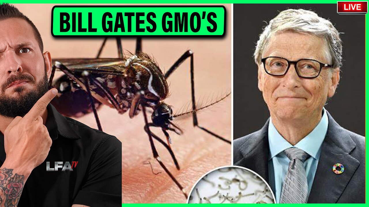 BILL GATES IS ON A MISSION TO KILL THE ENTIRE WORLD BEFORE HIS VICTIMS HUNT HIM DOWN | BILL GATES GMO GENOCIDE | MATTA OF FACT 11.7.24 2pm EST