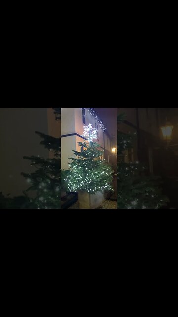 Celebrating 🥳 Christmas is beautiful