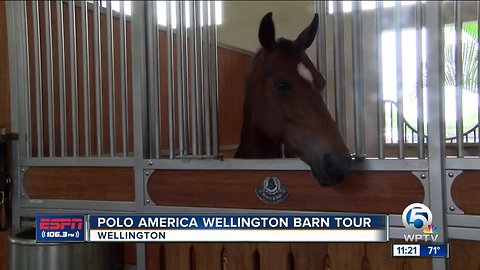 Polo America Wellington Barn Tour