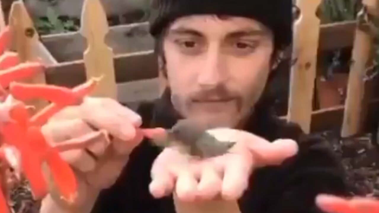 Big Hearted Guy helping the bird