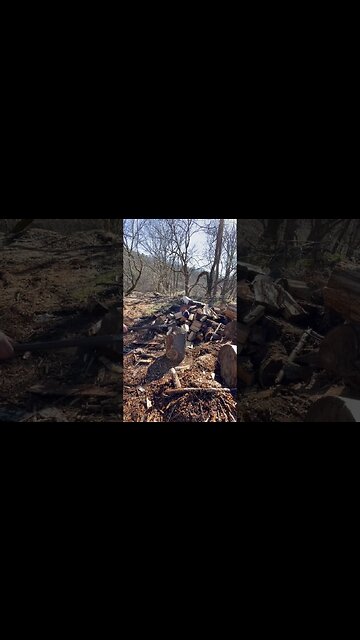 Getting Better at This 😎 #shorts #tips #75hard