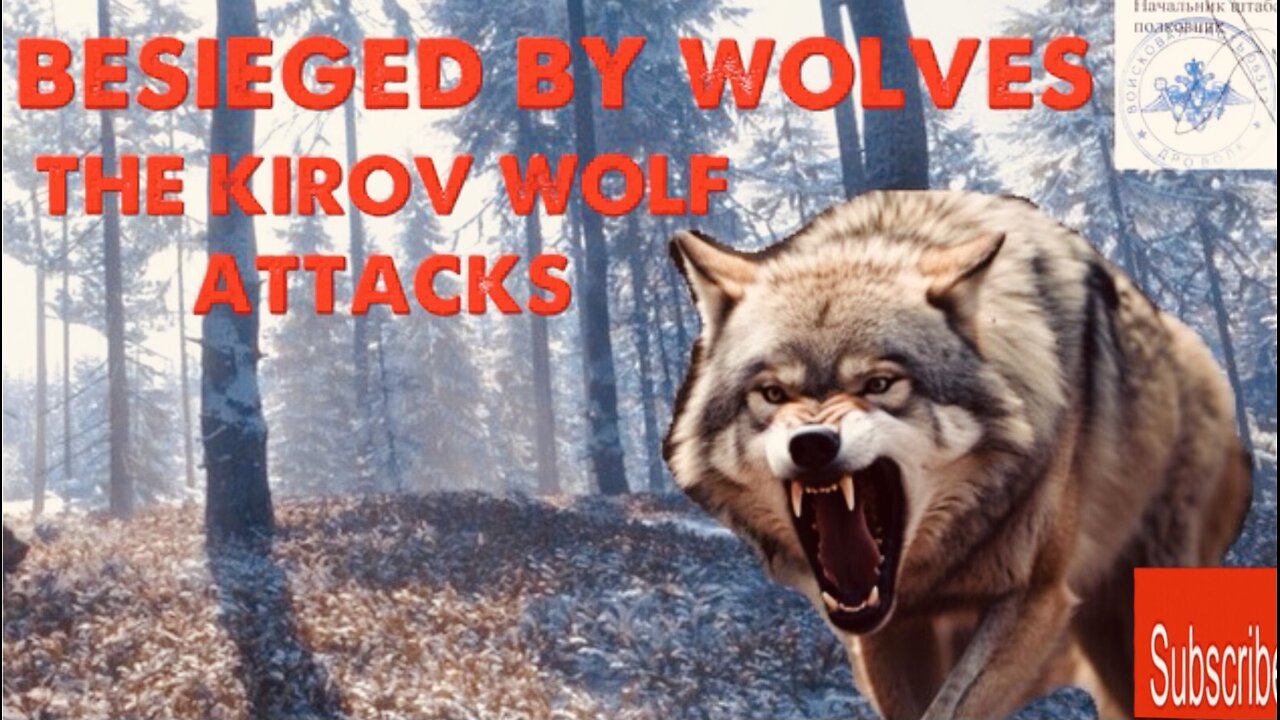 The wolf siege of Kirov