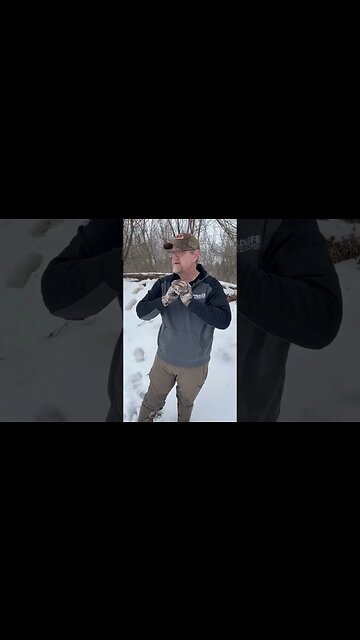 The only CROP you NEED to plant this year … #deer #deerhunting #foodplot #foodplots #shorts