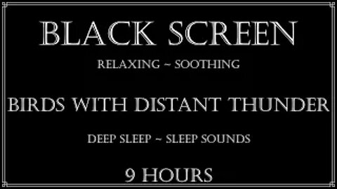 ⛈️ Black Screen Birds with distant Thunder ~ Deep Sleep ~ Dark Screen