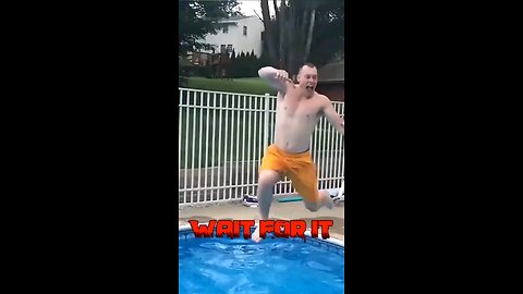 funny videos