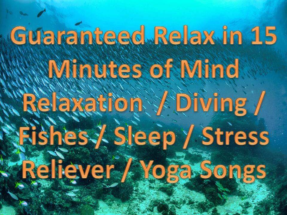 Guaranteed Relax in 15Minutes of Mind Relaxation / Diving / Fishes / Sleep / Stress Reliever / Yoga