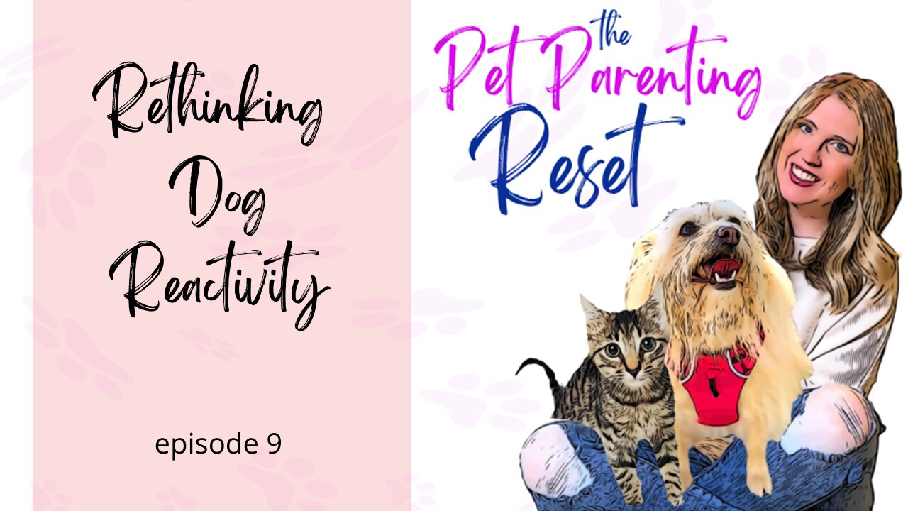 Rethinking Dog Reactivity | The Pet Parenting Reset, episode 9