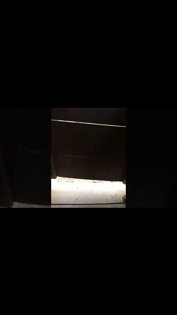 First Person Shooter - Red Roof Inn on a Philmont Trek