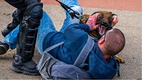 Dutch Police Unleash Attack Dogs On Anti Lockdown Protesters!