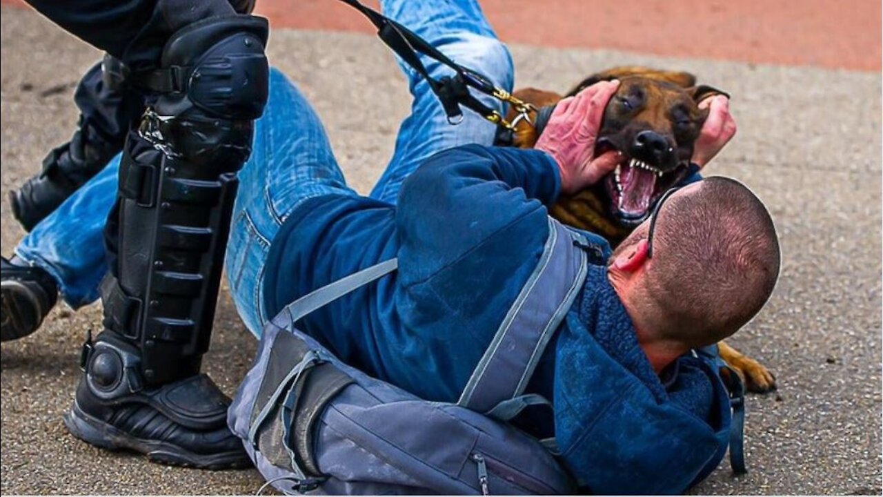 Dutch Police Unleash Attack Dogs On Anti Lockdown Protesters!