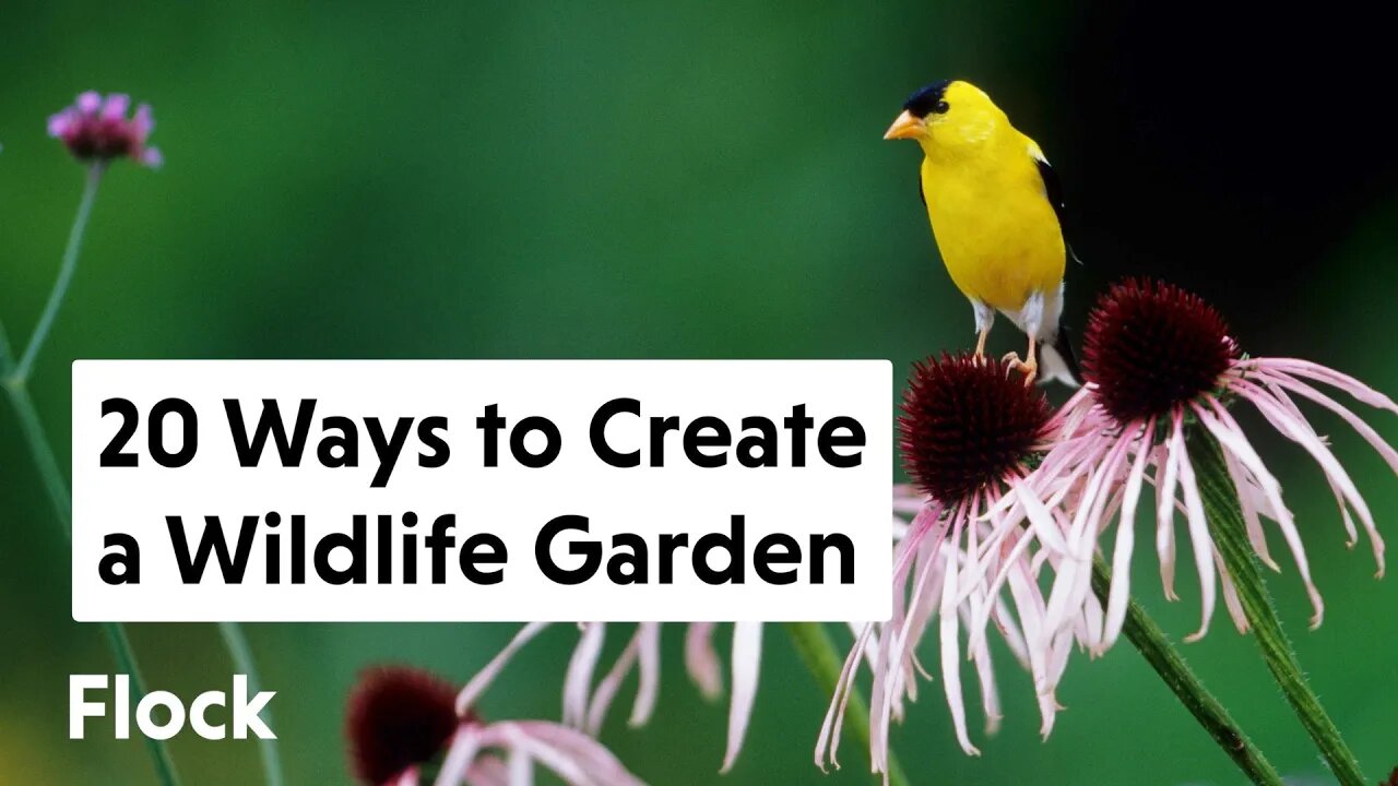 20 Ways To ATTRACT WILDLIFE to Your BACKYARD GARDEN — Ep. 112