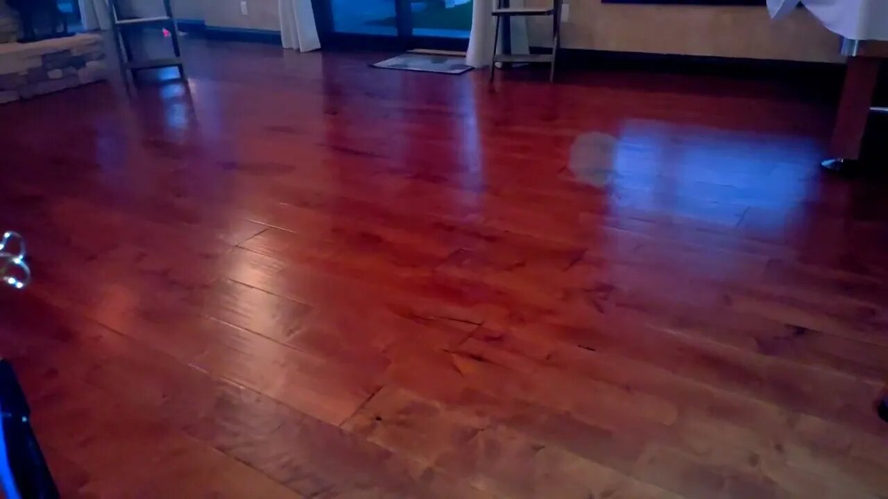 Blue orb floats and dances in front of my phone- September 23, 2022