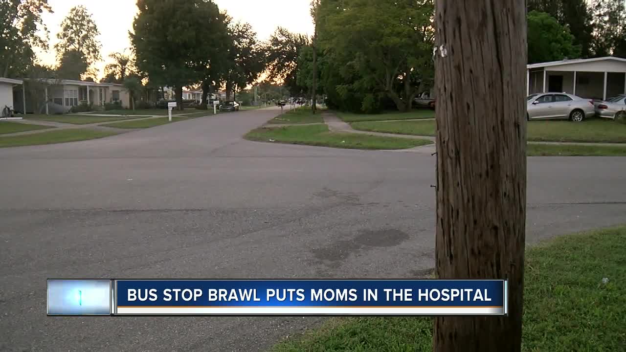 Moms brawl at school bus stop, 2 hospitalized