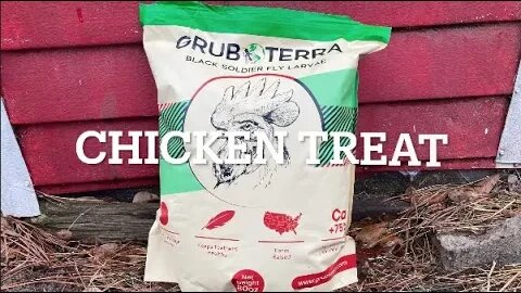 Grub Terra Chicken Treat HD 720p
