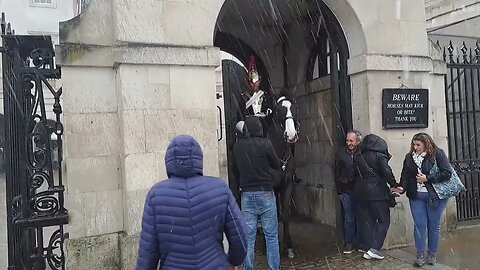 Get out this is not a rain shelter #horseguardsparade