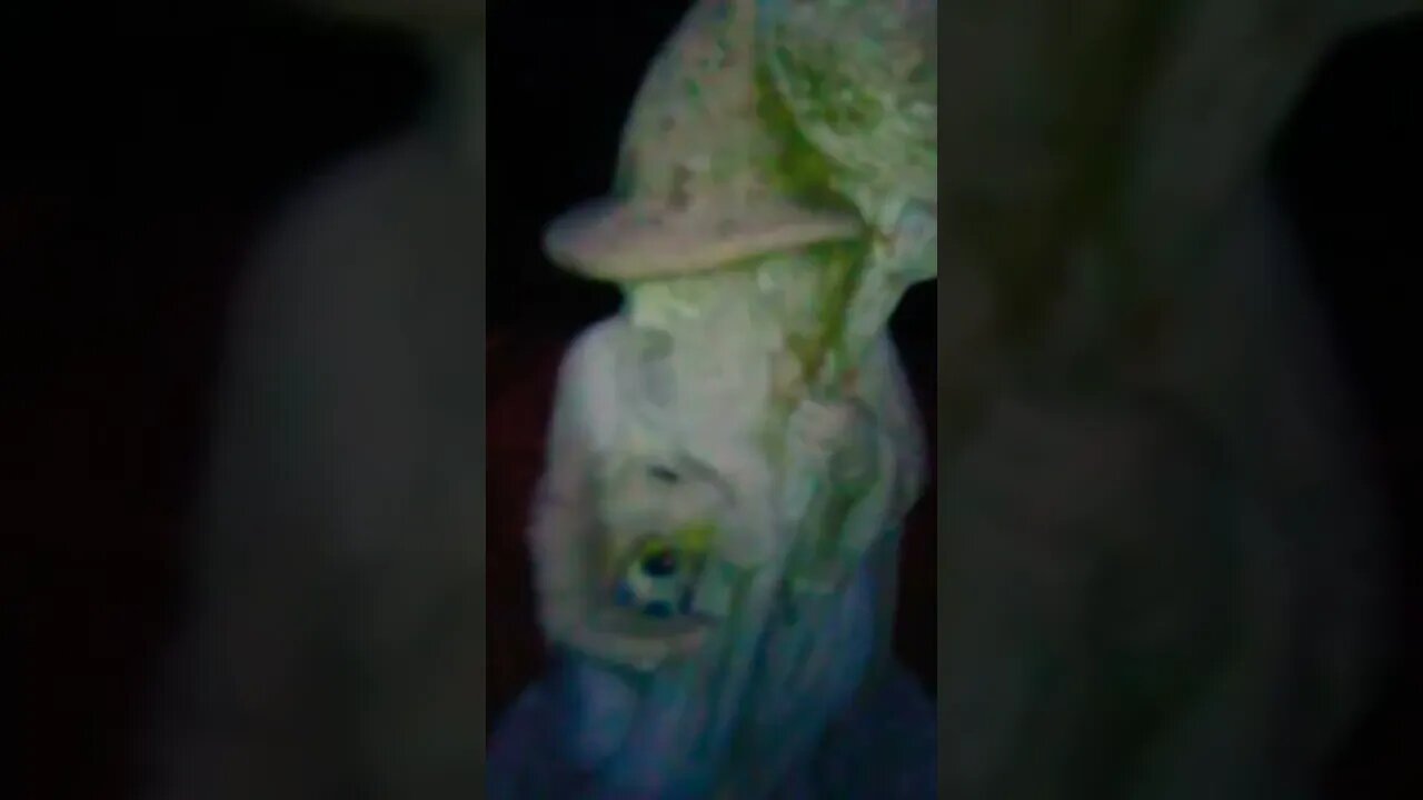 🦉🐉☠️📯🌍💥💀🐲