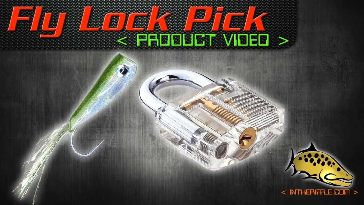 How To Pick a Lock with a Fly