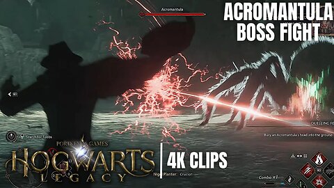 Acromantula Boss Fight | Hogwarts Legacy 4K Clips